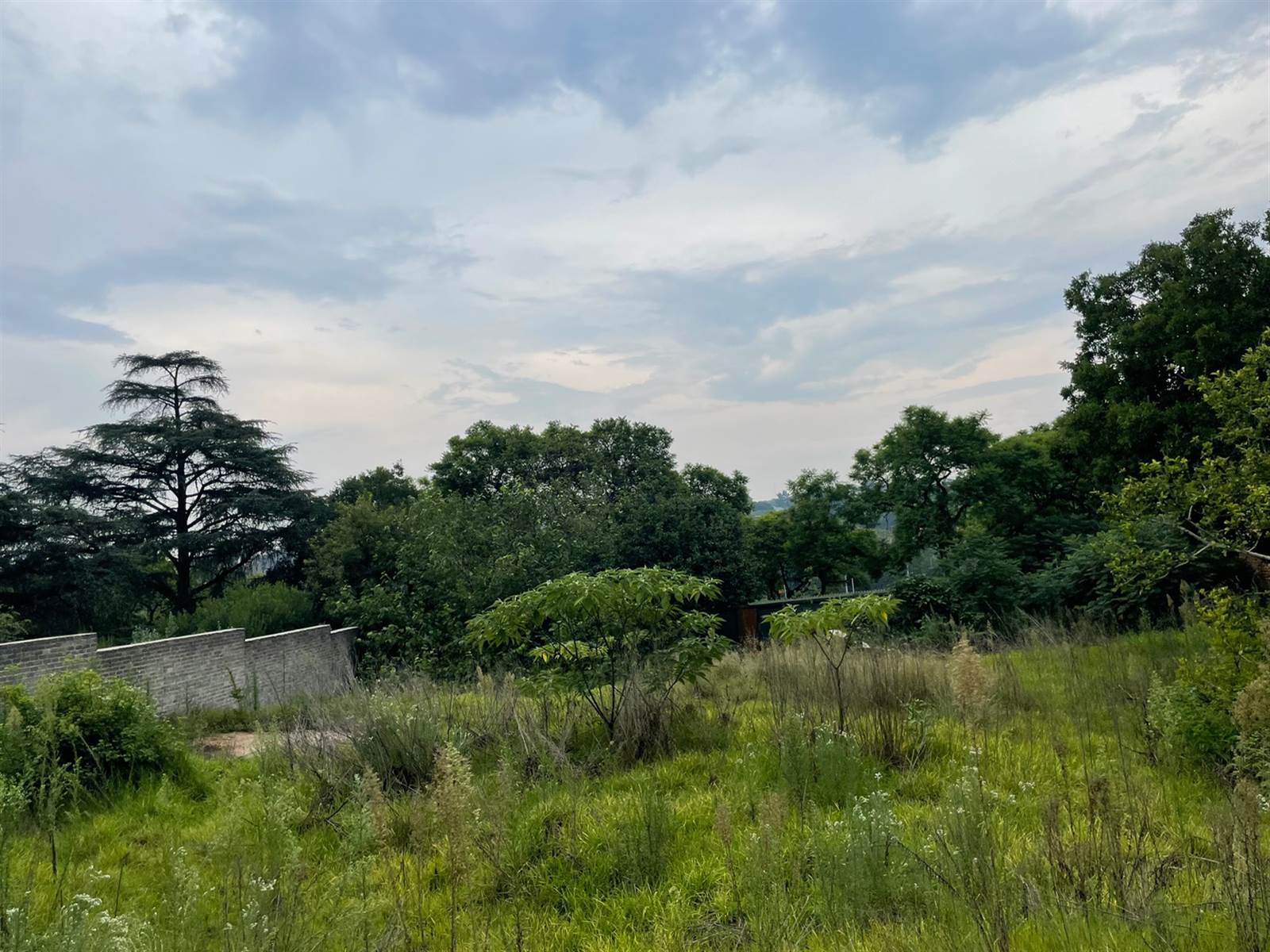 1500 m² Land available in Bryanston photo number 5