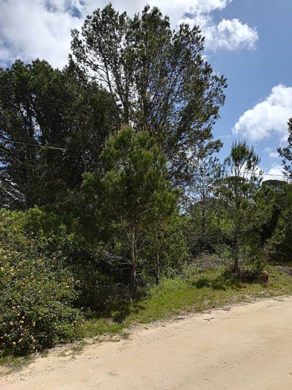 1199 m² Land available in Bathurst and Surrounds photo number 2