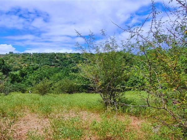 2 400 m² Land 2 400 m² Land