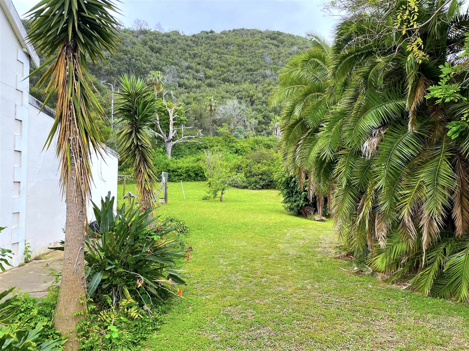 4080 m² Land available in Knysna Central photo number 5