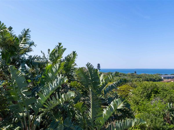 523 m² Land available in Shelly Beach