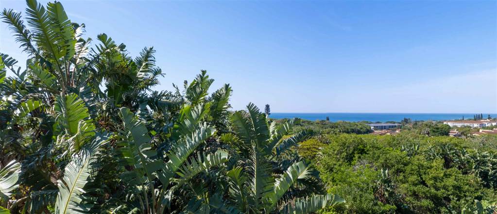 523 m² Land available in Shelly Beach photo number 1