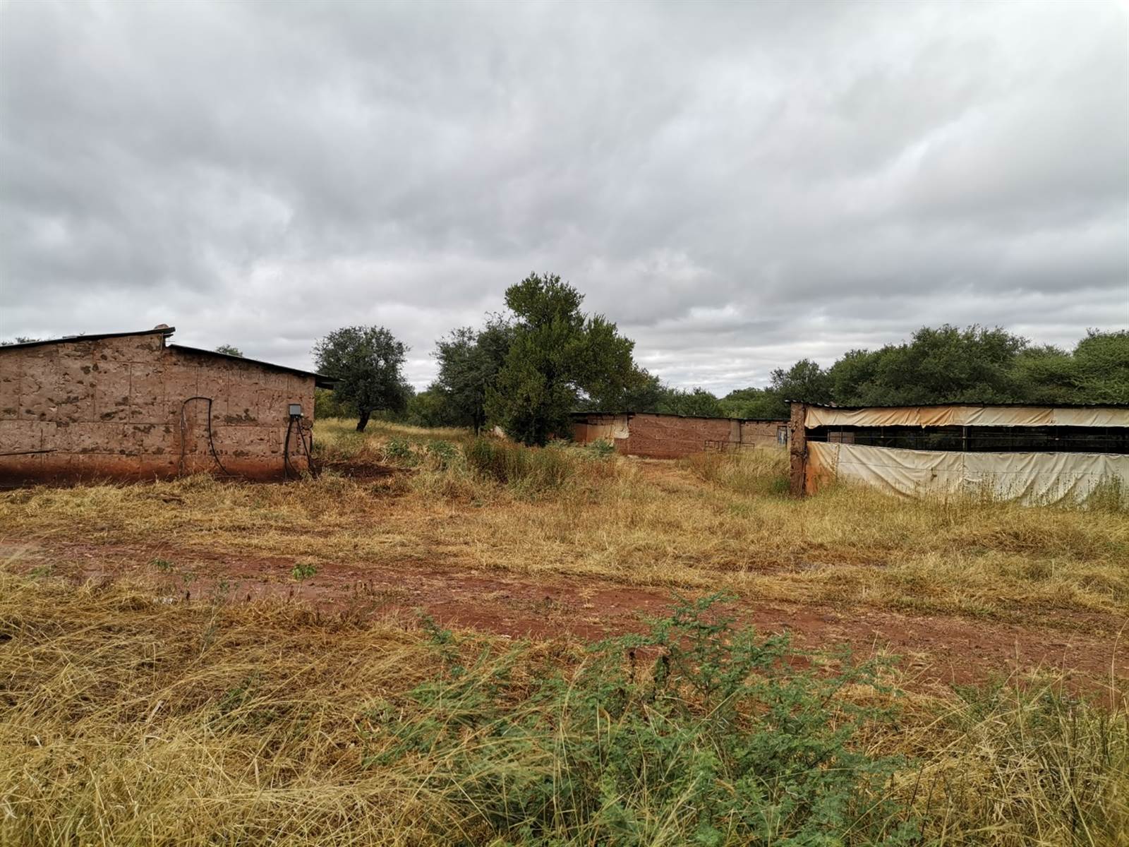 254 ha Farm in Thabazimbi photo number 15