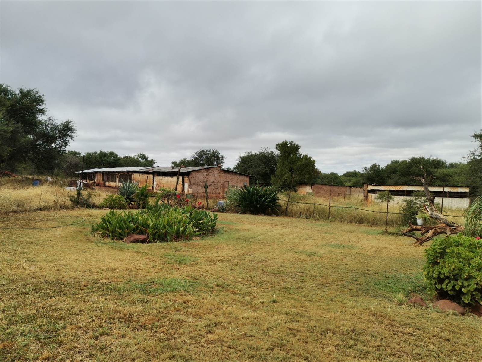 254 ha Farm in Thabazimbi photo number 14