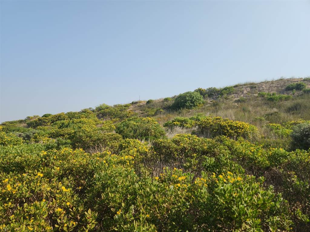 780 m² Land available in Stilbaai photo number 9