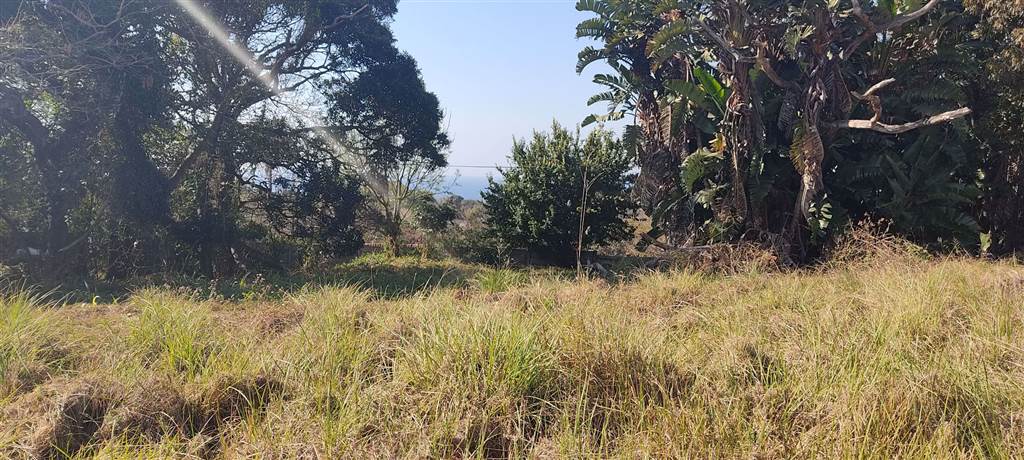 832 m² Land available in Shelly Beach photo number 6
