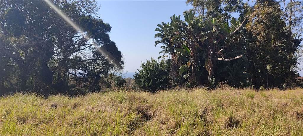 832 m² Land available in Shelly Beach photo number 3