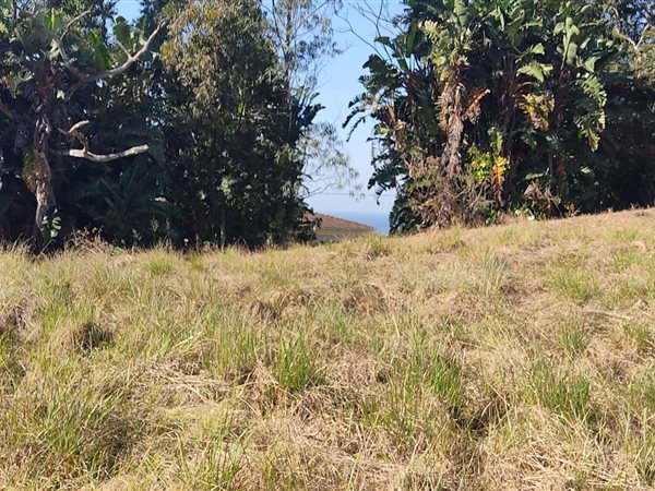 832 m² Land available in Shelly Beach