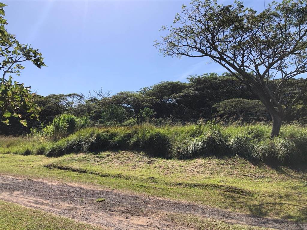 600 m² Land available in Mtwalume photo number 3