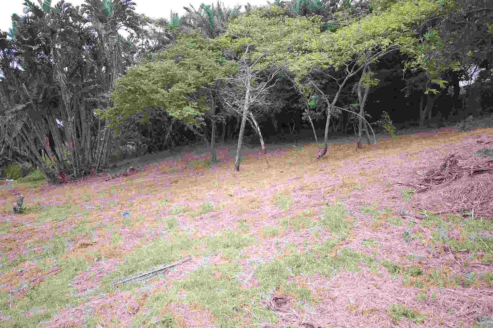 1342 m² Land available in Woodgrange photo number 3