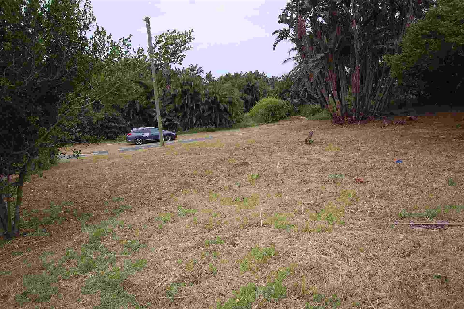 1342 m² Land available in Woodgrange photo number 4