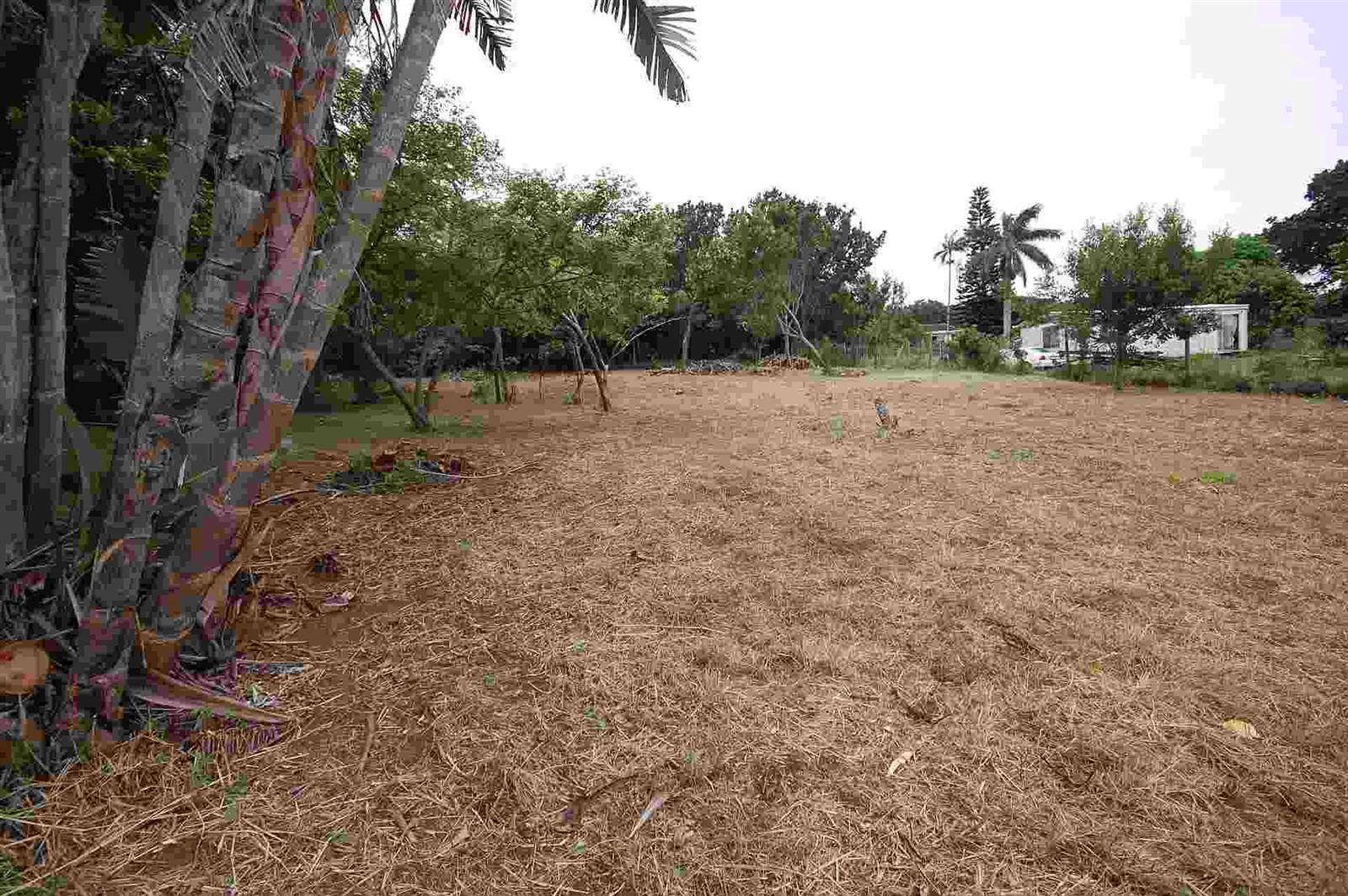 1342 m² Land available in Woodgrange photo number 8