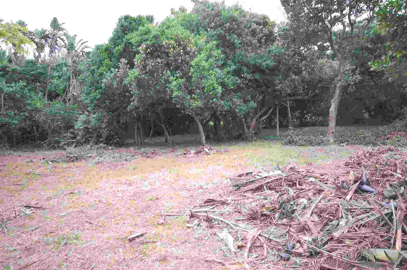 1342 m² Land available in Woodgrange photo number 5