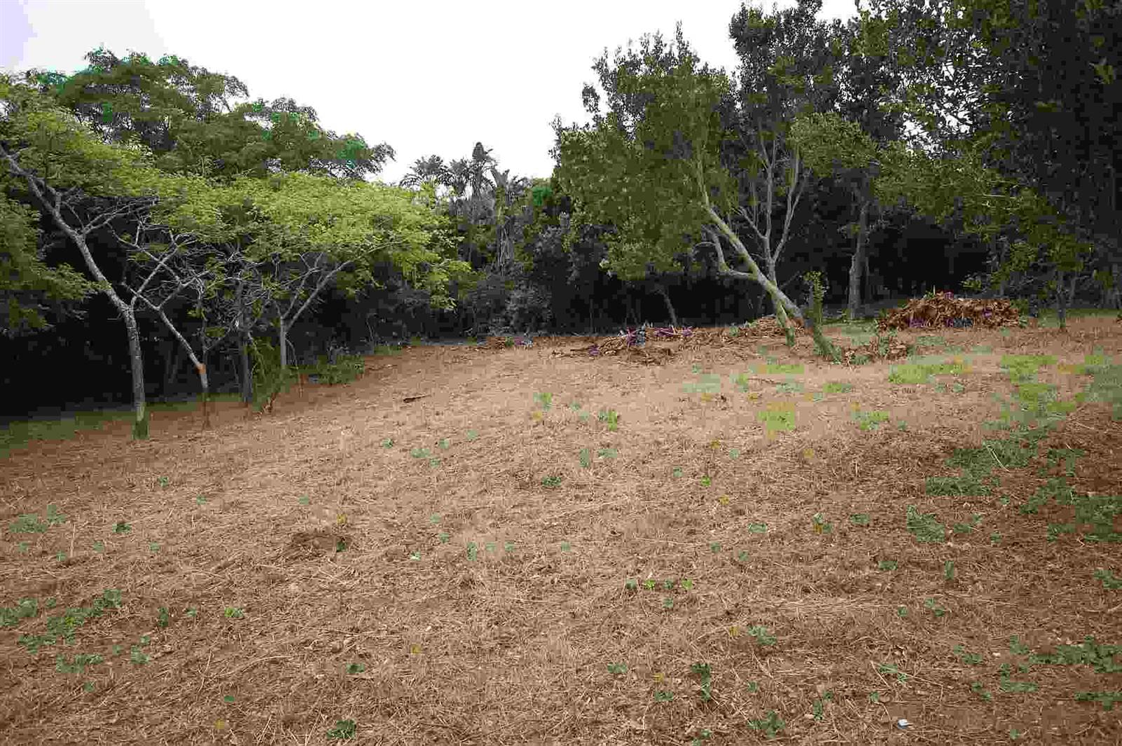 1342 m² Land available in Woodgrange photo number 1