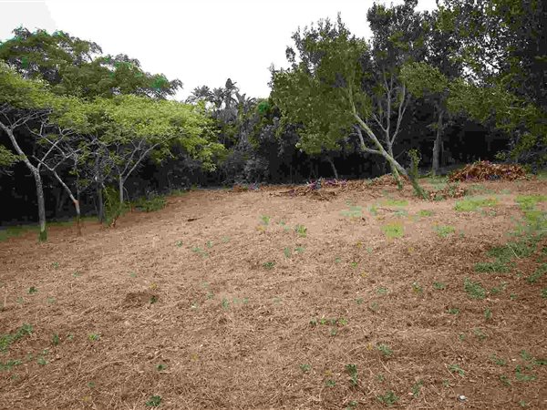 1342 m² Land available in Woodgrange