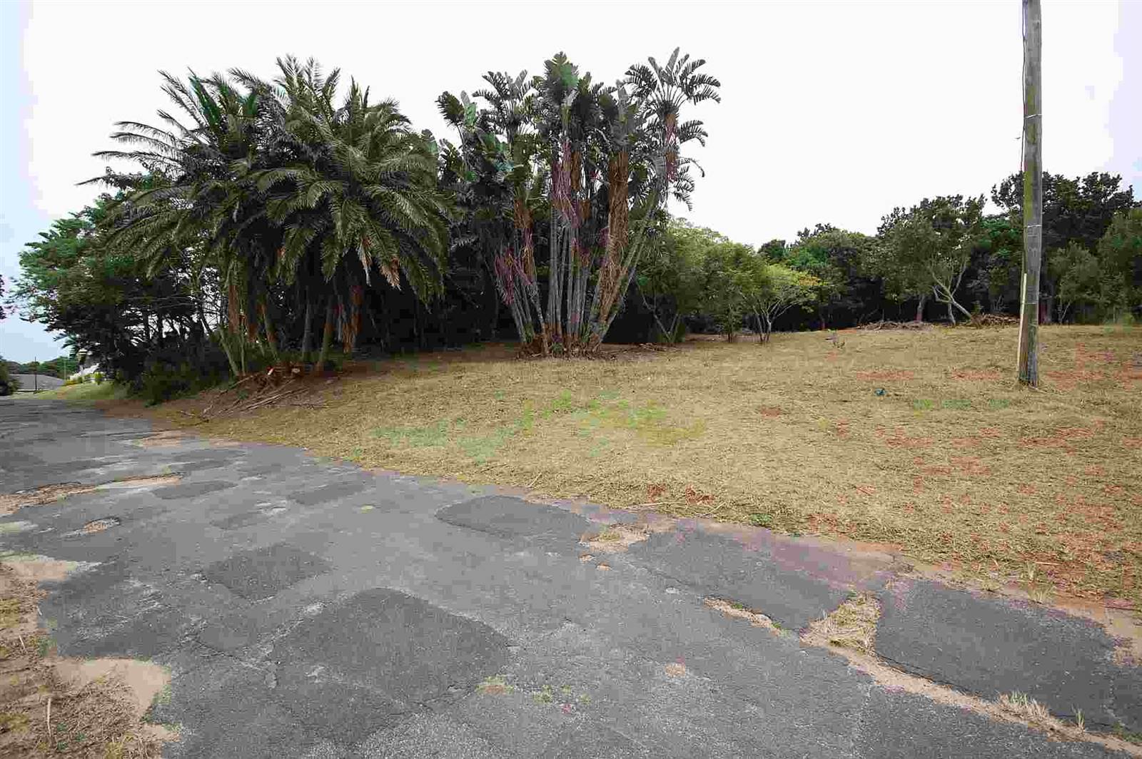 1342 m² Land available in Woodgrange photo number 10