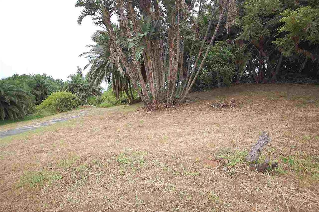 1342 m² Land available in Woodgrange photo number 7