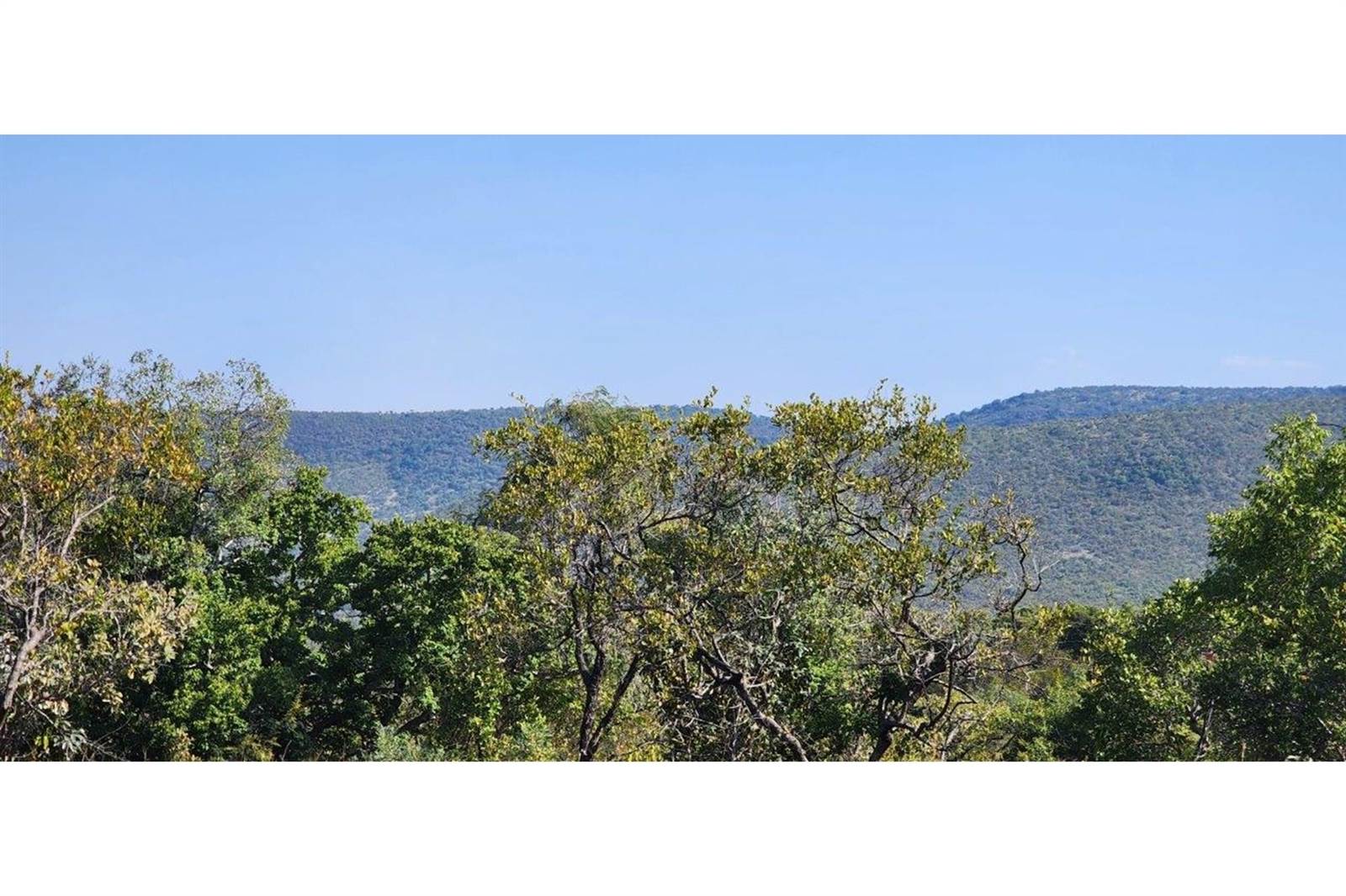 2500 m² Land available in Zwartkloof Private Game Reserve photo number 12