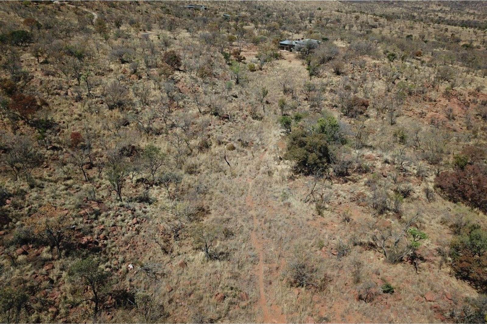 2500 m² Land available in Zwartkloof Private Game Reserve photo number 2