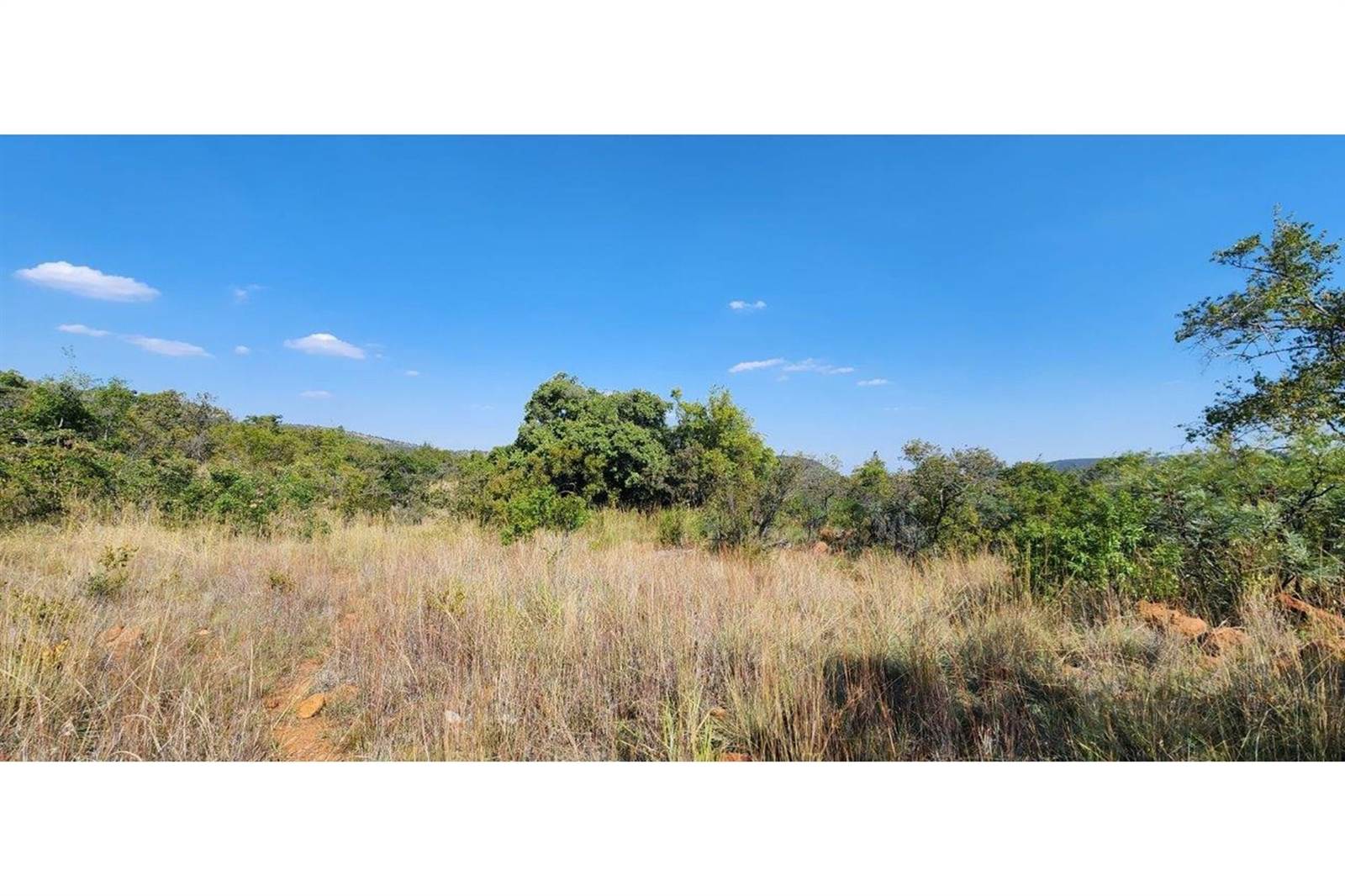 2500 m² Land available in Zwartkloof Private Game Reserve photo number 10