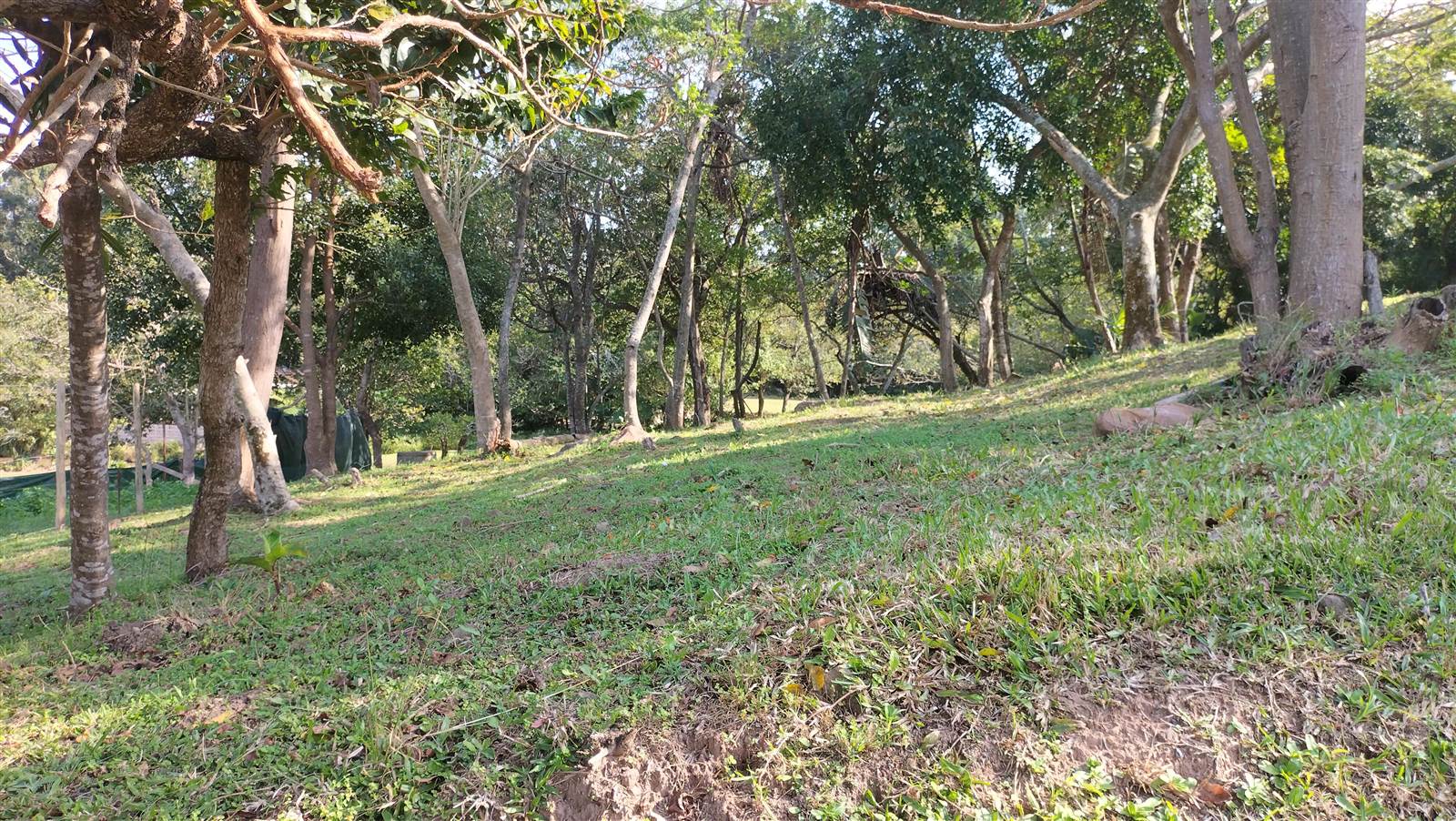 543 m² Land available in Pennington photo number 11
