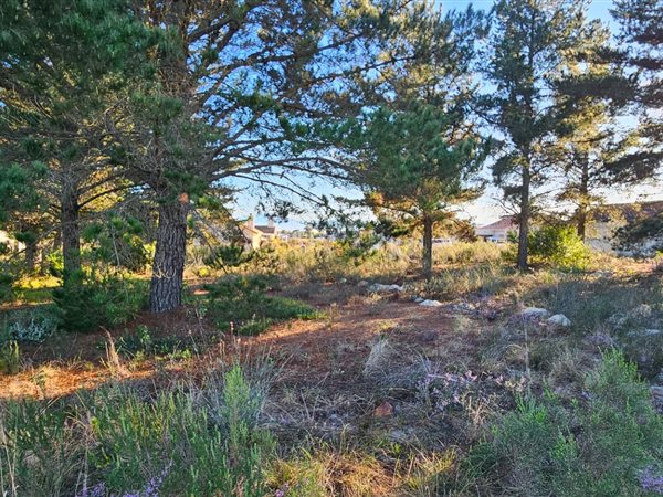 385 m² Land 385 m² Land