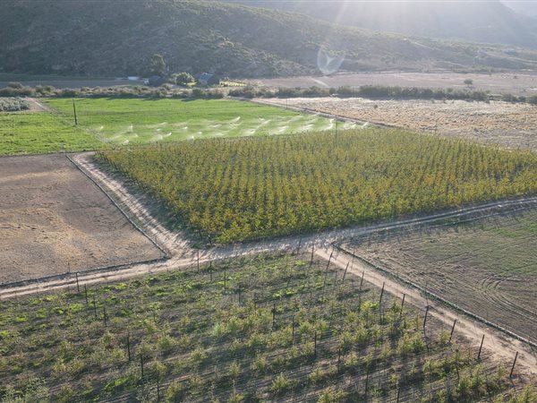 25 ha Land 25 ha Land