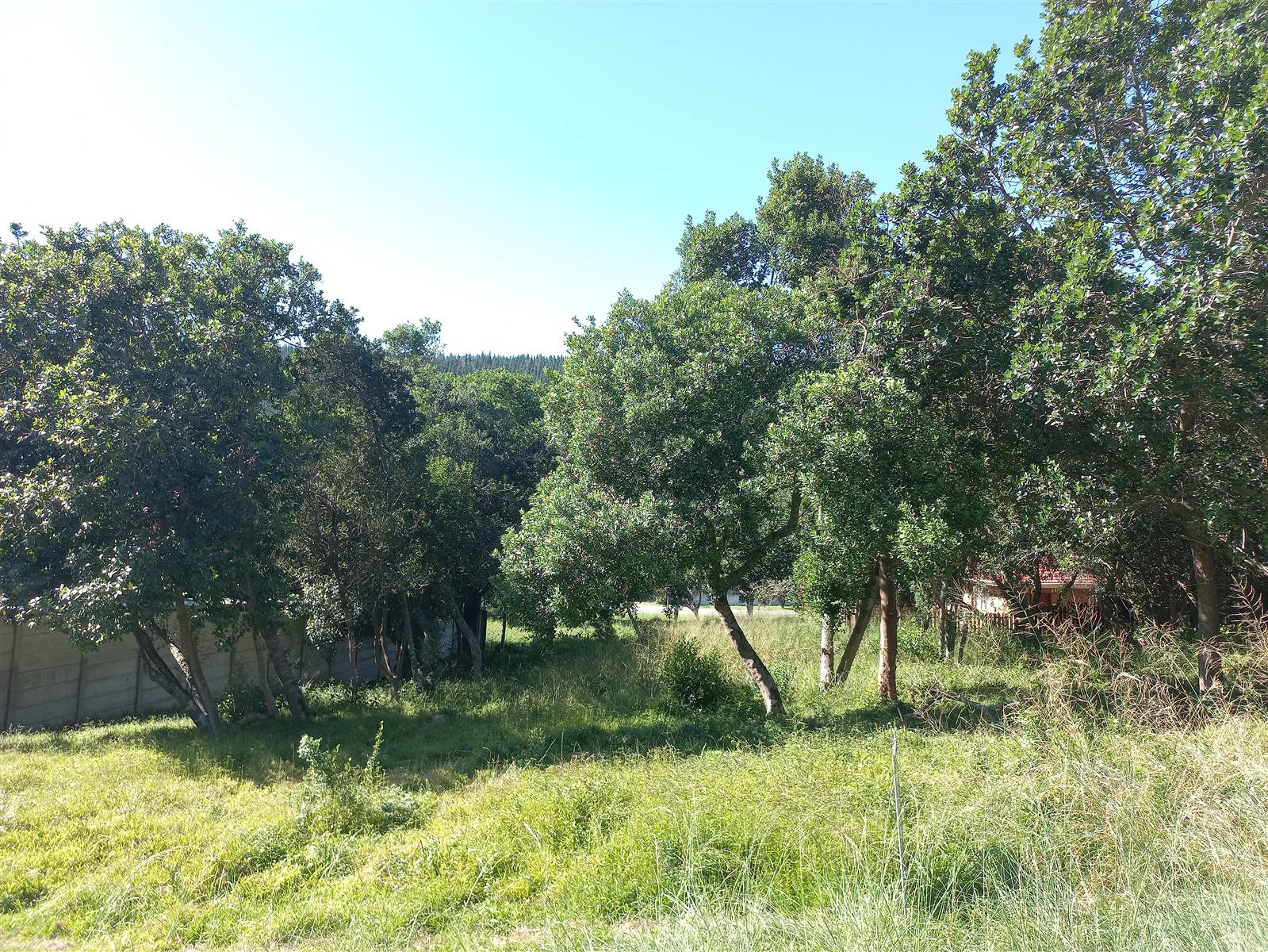 775 m² Land available in Meedingsride photo number 4