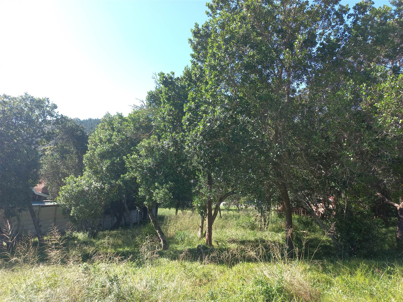 775 m² Land available in Meedingsride photo number 24