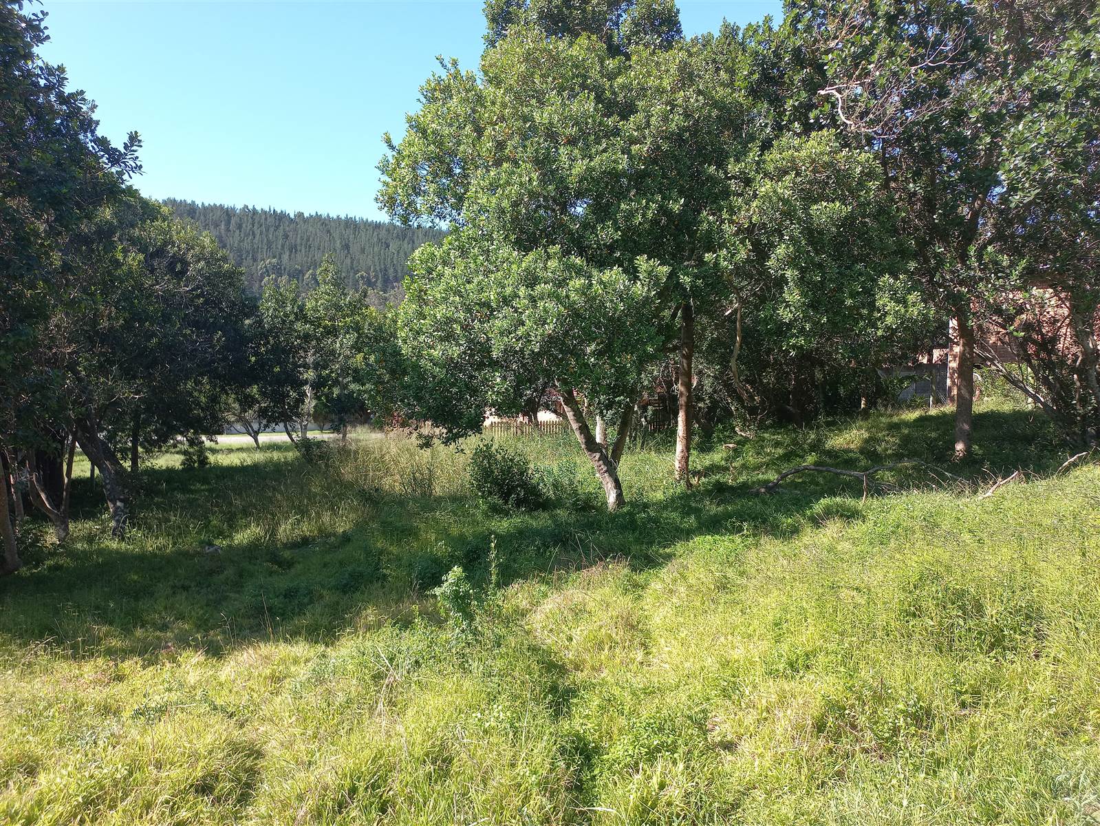 775 m² Land available in Meedingsride photo number 3