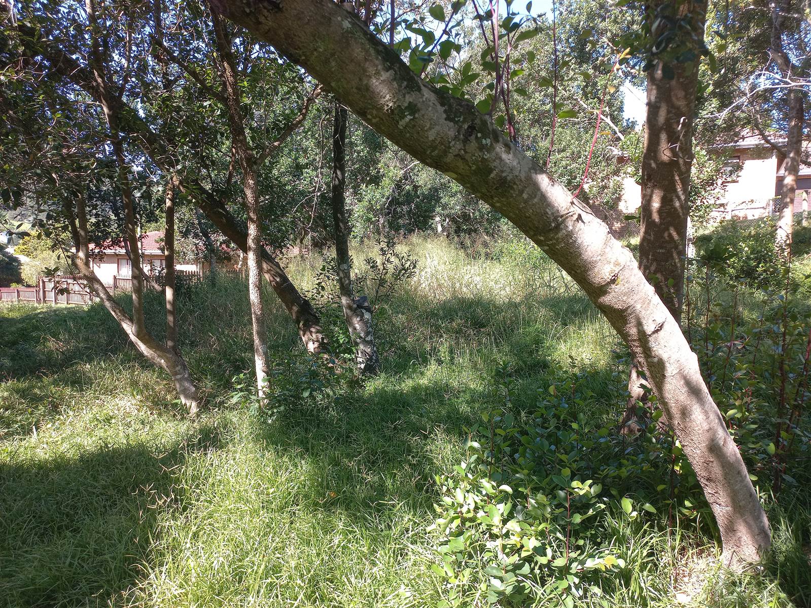 775 m² Land available in Meedingsride photo number 18