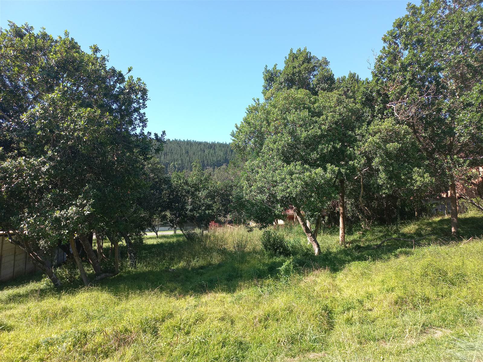 775 m² Land available in Meedingsride photo number 26