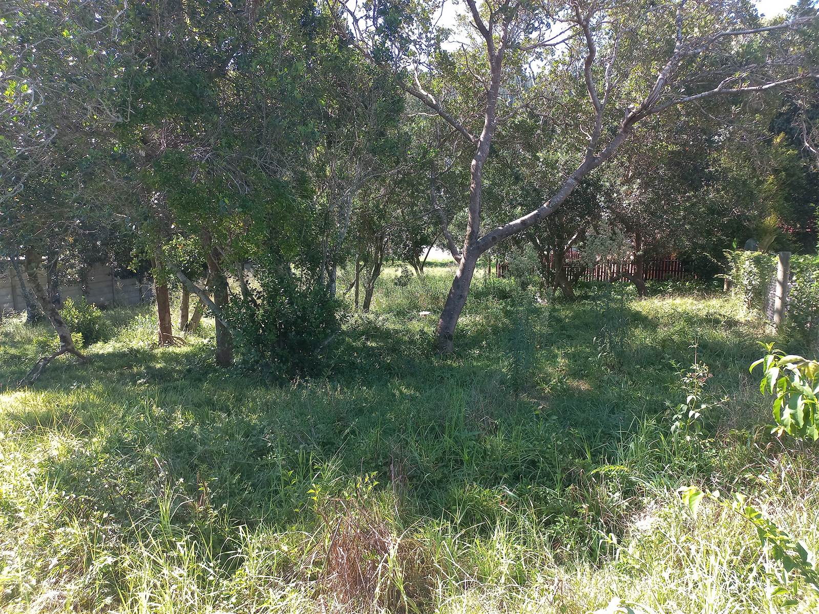 775 m² Land available in Meedingsride photo number 10