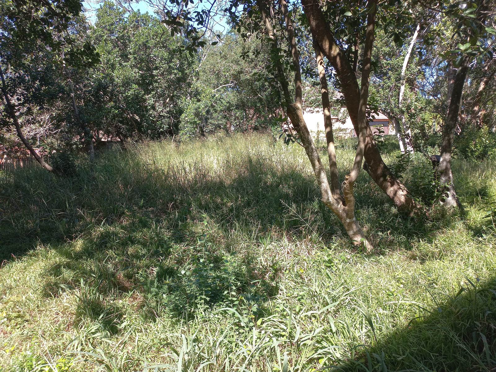 775 m² Land available in Meedingsride photo number 17