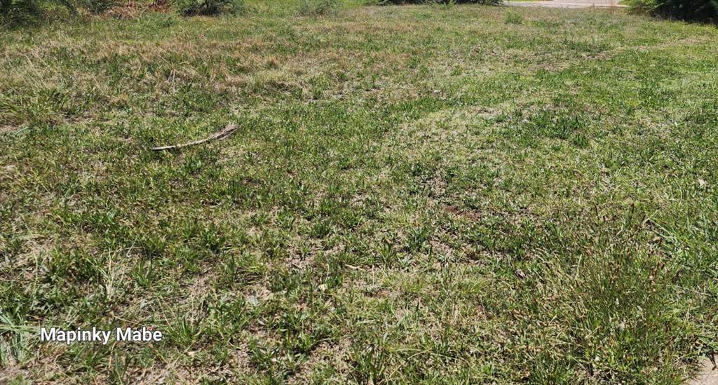 990 m² Land available in Monavoni photo number 3