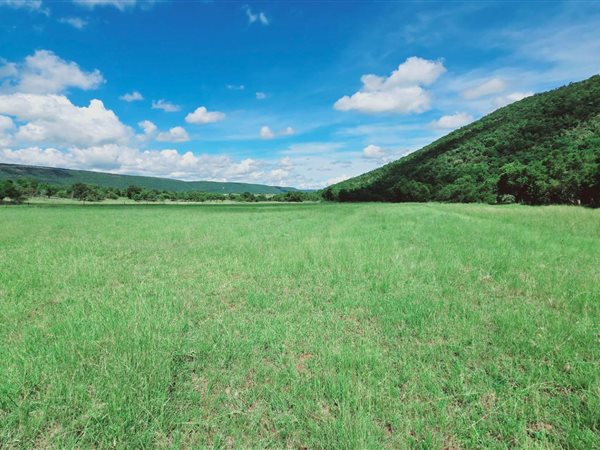 82 ha Farm 82 ha Farm