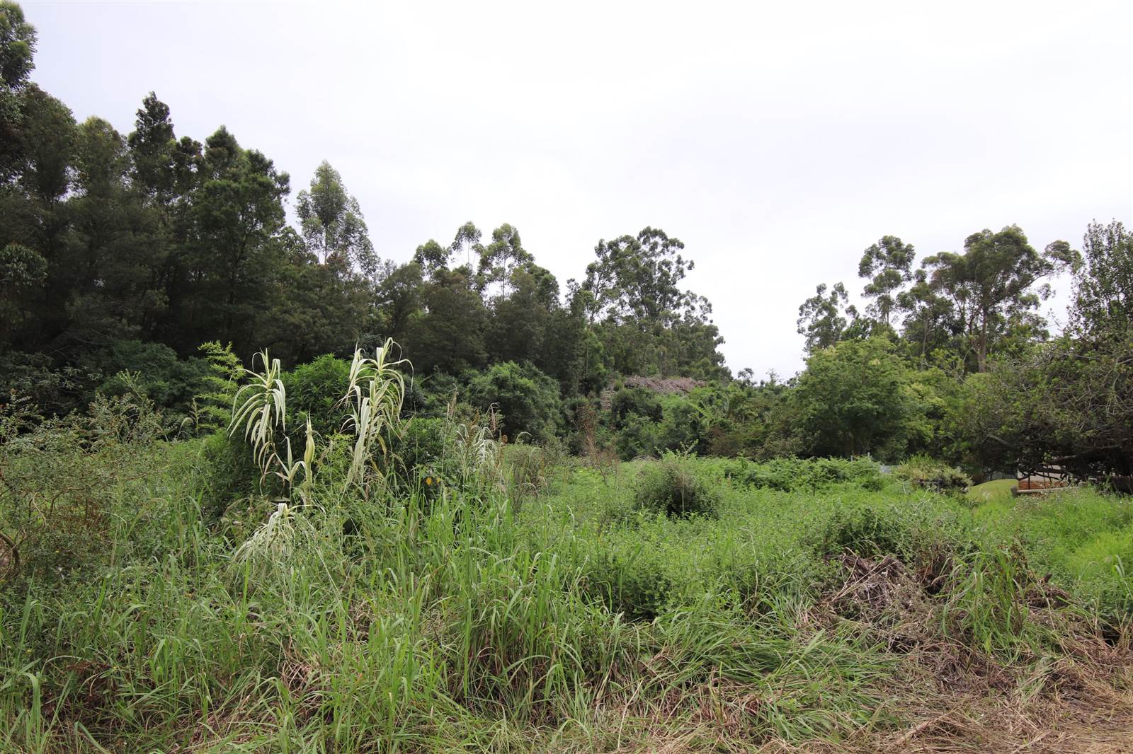 1.8 ha Land available in Heatherlands photo number 9