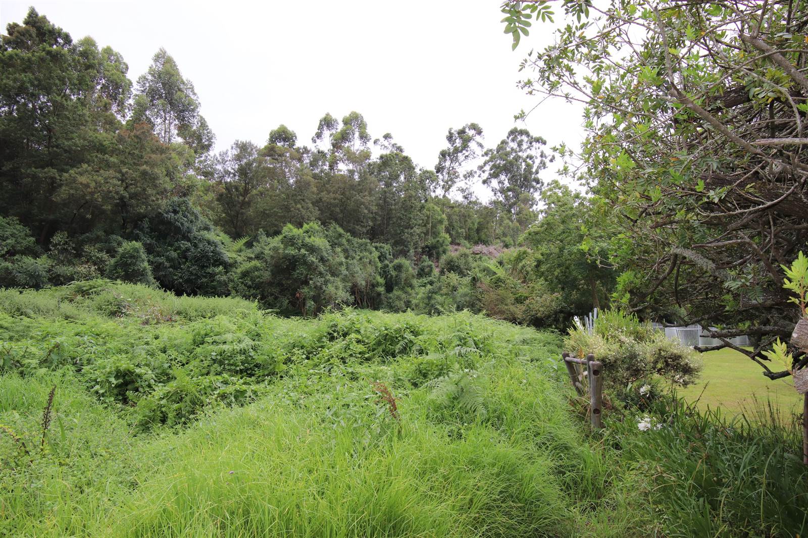 1.8 ha Land available in Heatherlands photo number 14