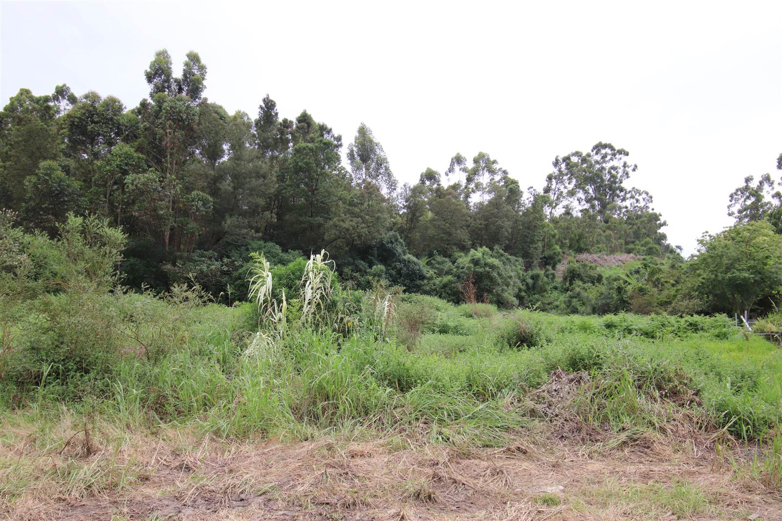 1.8 ha Land available in Heatherlands photo number 6