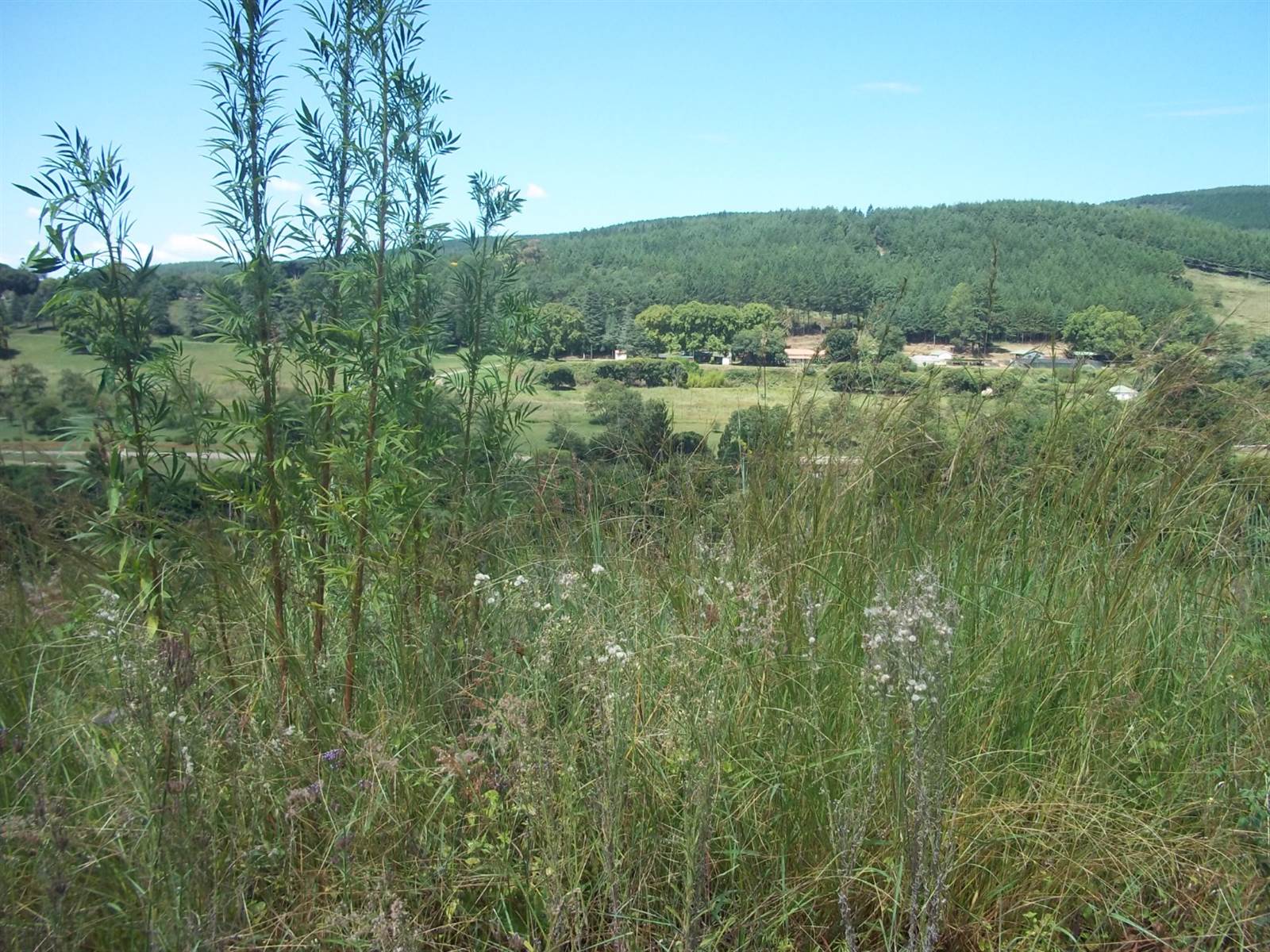 1806 m² Land available in Sabie photo number 4