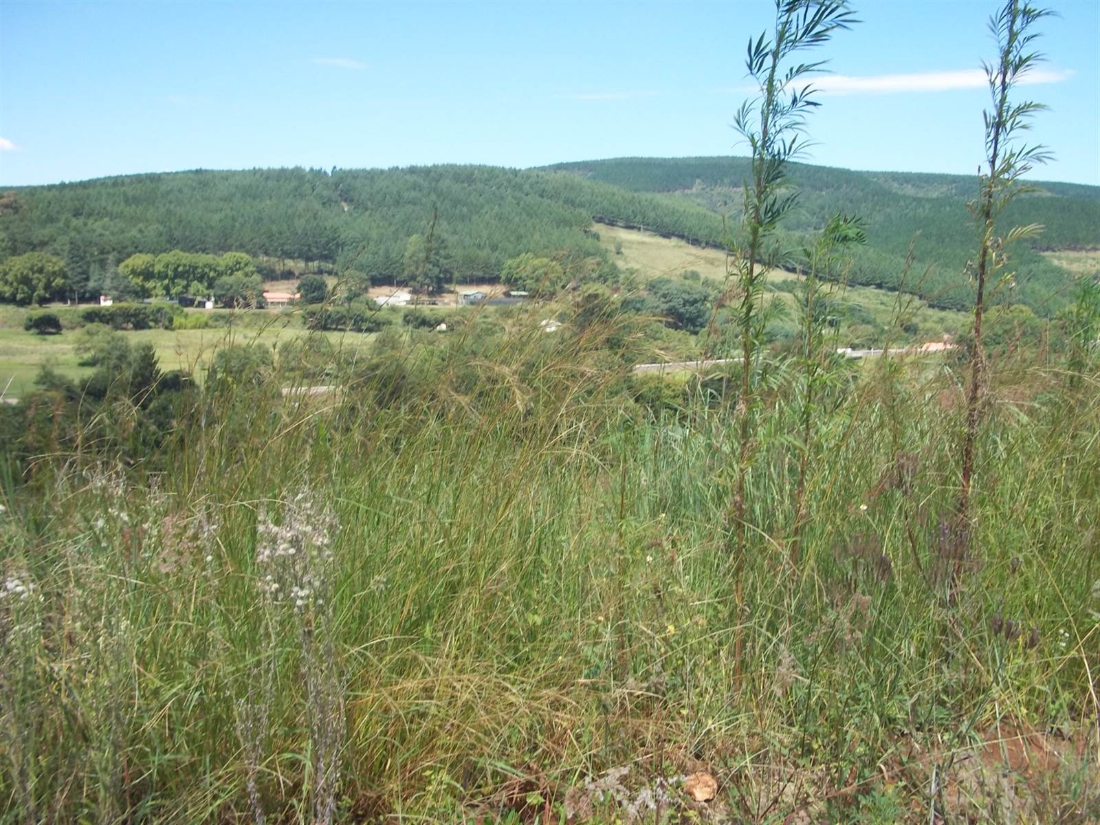 1806 m² Land available in Sabie photo number 5