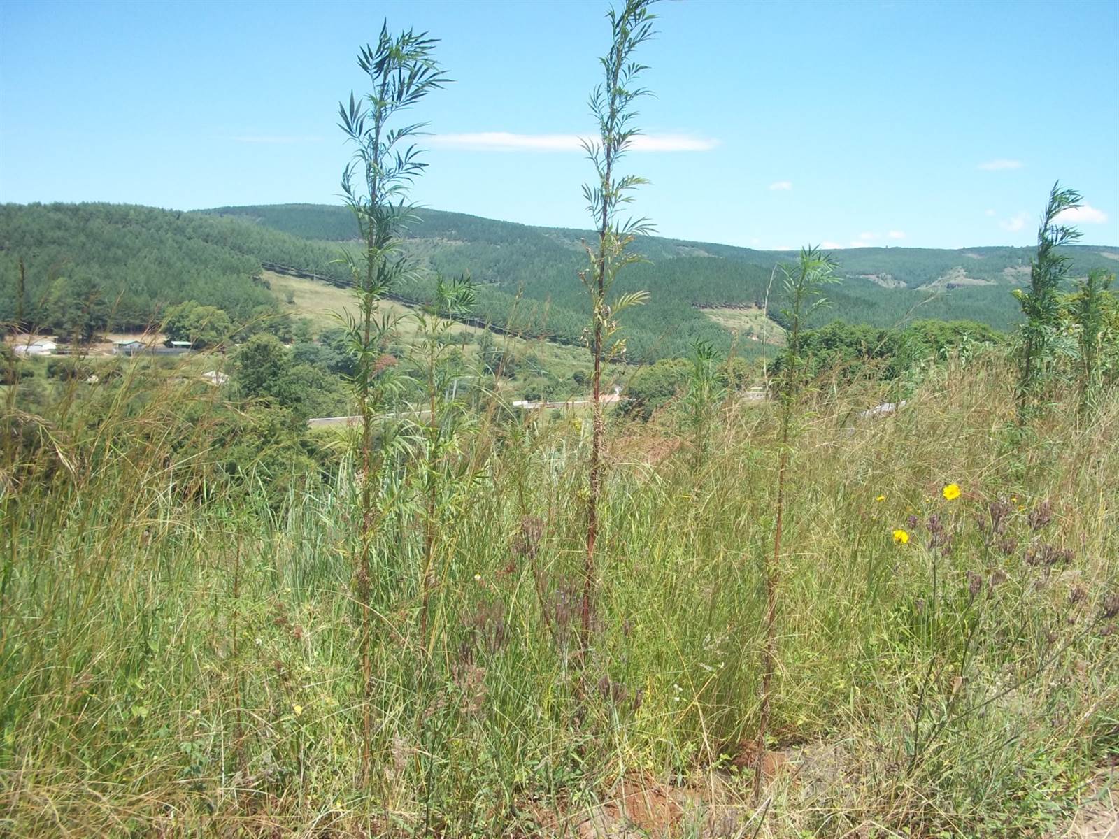 1806 m² Land available in Sabie photo number 6