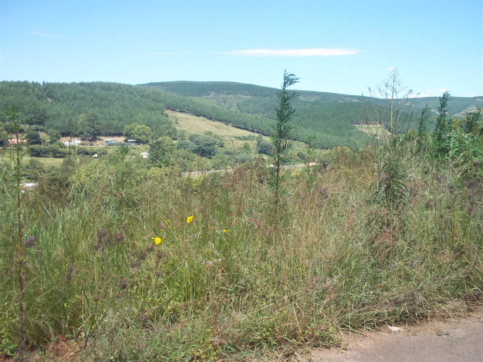 1806 m² Land available in Sabie photo number 1