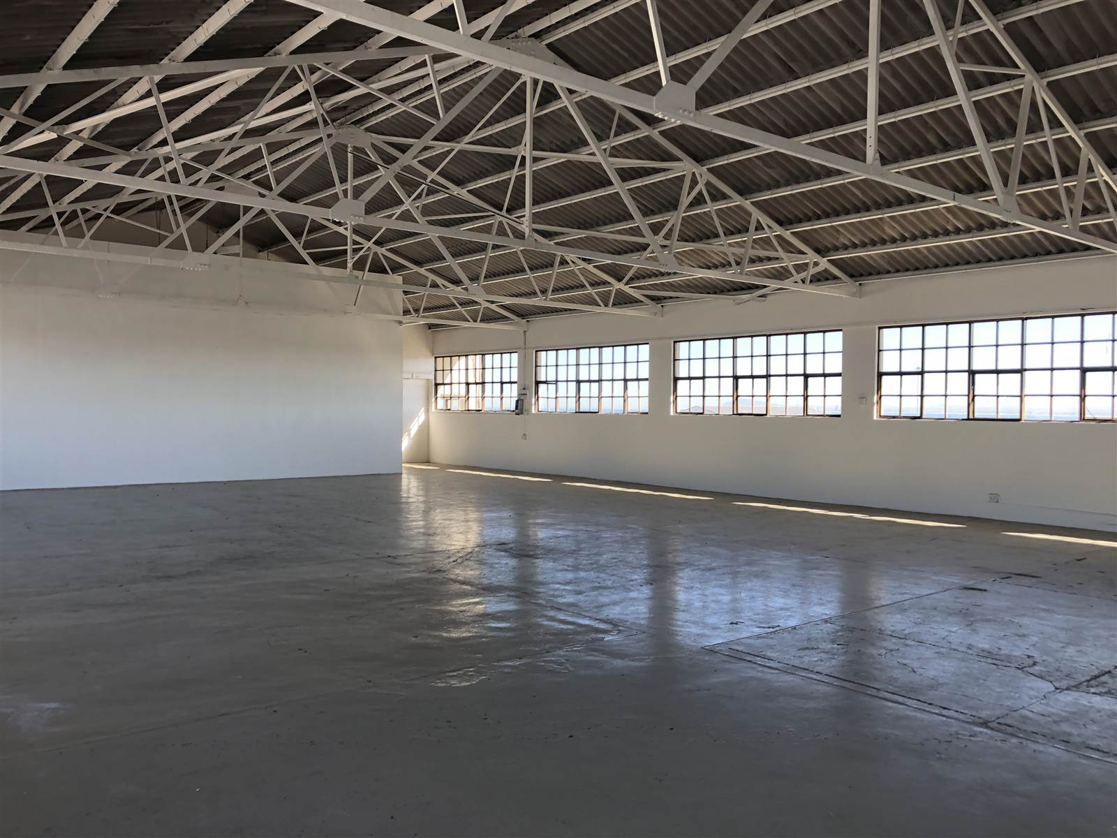 482  m² Commercial space in Paarden Eiland photo number 4