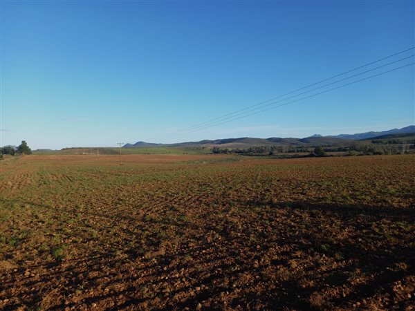 80 ha Farm in George Rural