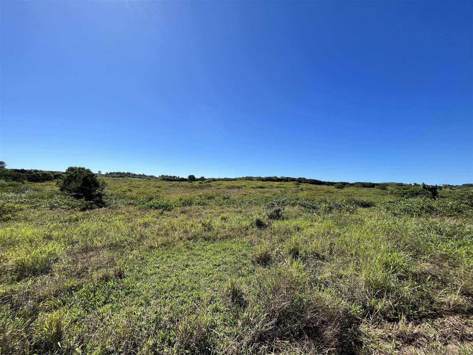 433 m² Land available in Sheffield Beach photo number 2