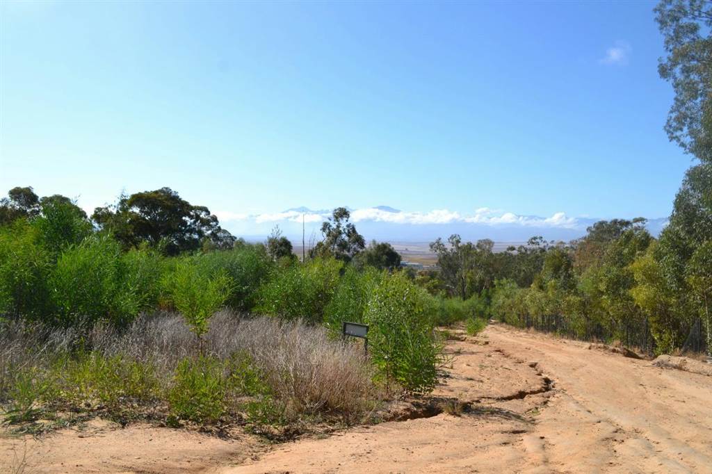 4.8 ha Land available in Riebeek West photo number 9