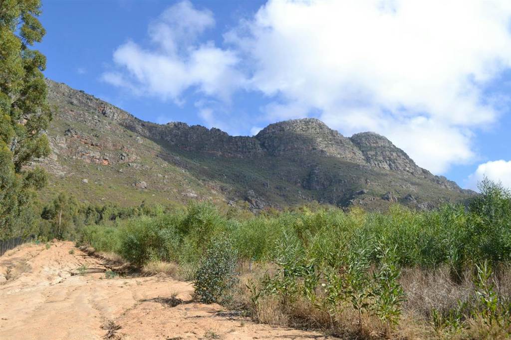 4.8 ha Land available in Riebeek West photo number 8