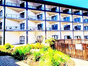1 Bed Apartment in City & Suburban (Maboneng)