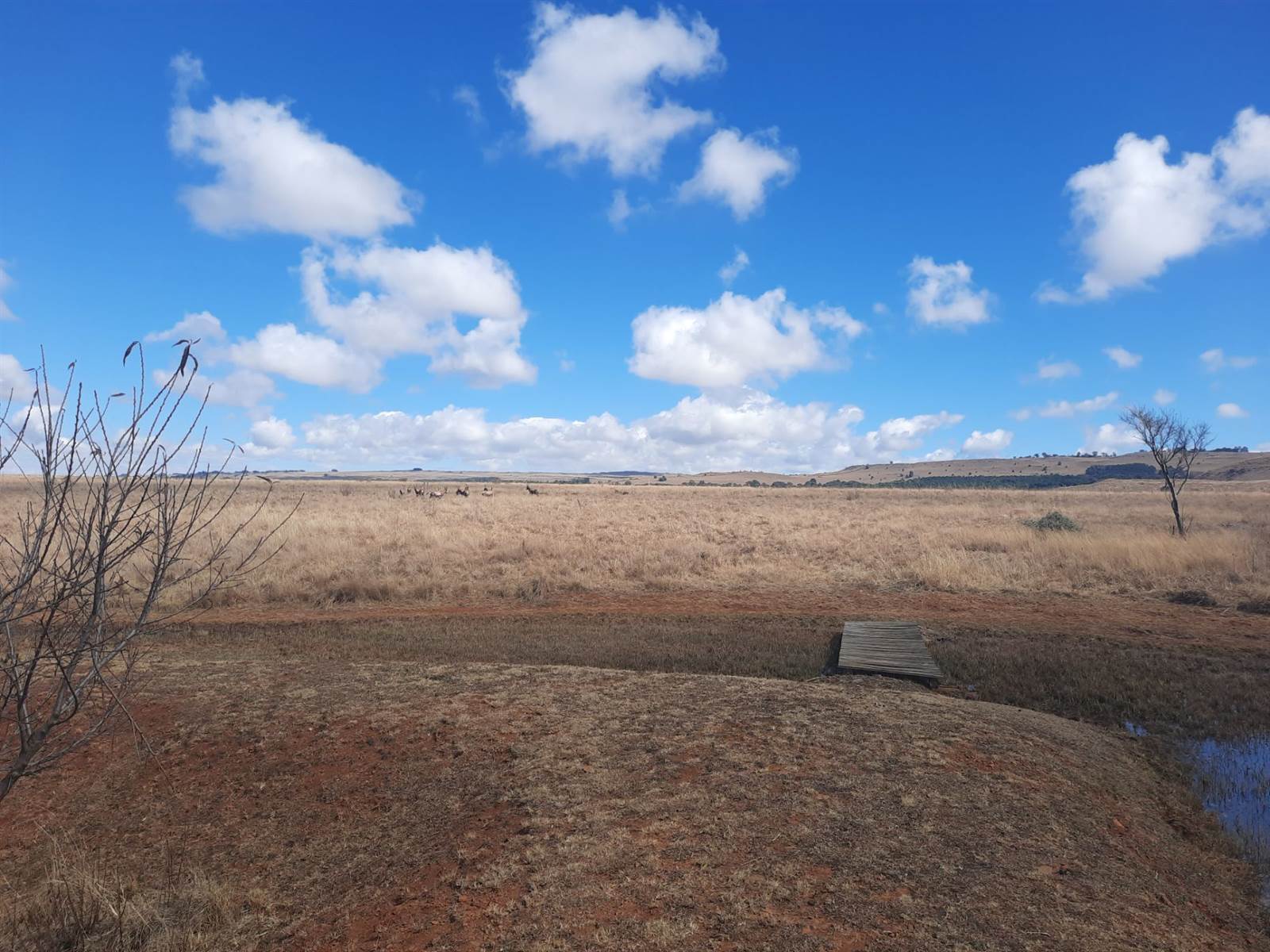 1.3 ha Land available in Dullstroom photo number 6